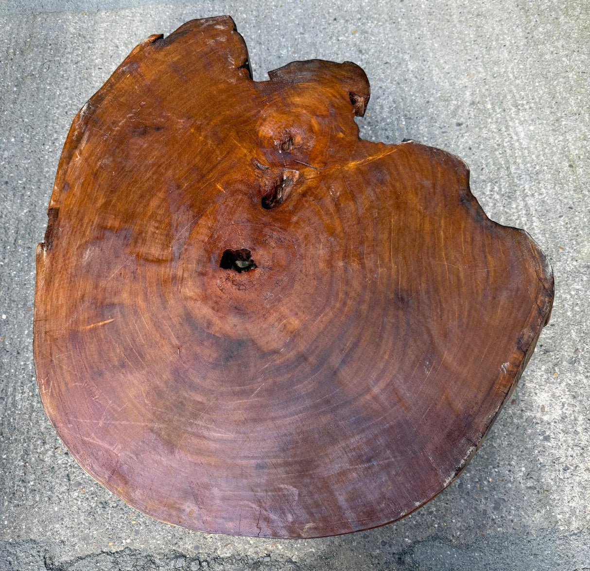Tree Trunk Table With Rebar Steel Legs