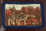 Animal Painted Placemats with Serviettes