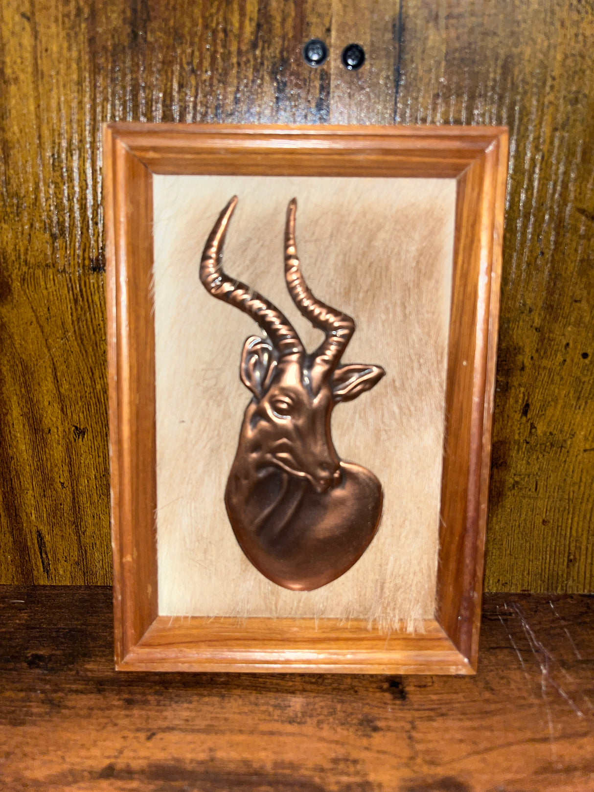 Gazelle In Copper with Fur