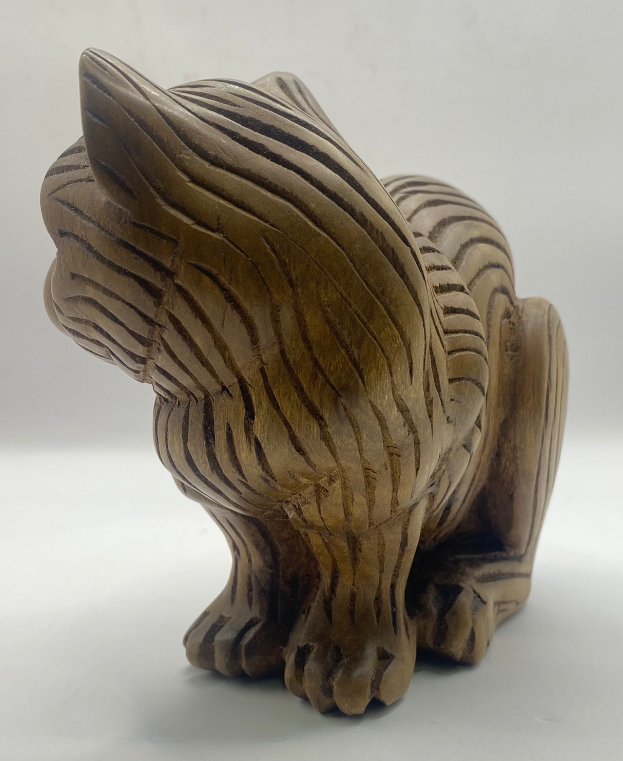 Head Side Turned Cats