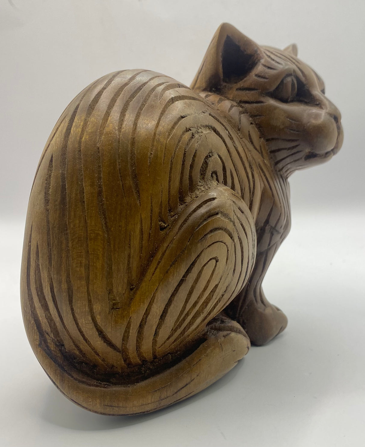 Head Side Turned Cats