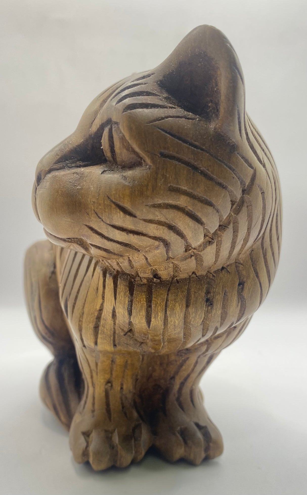 Head Side Turned Cats