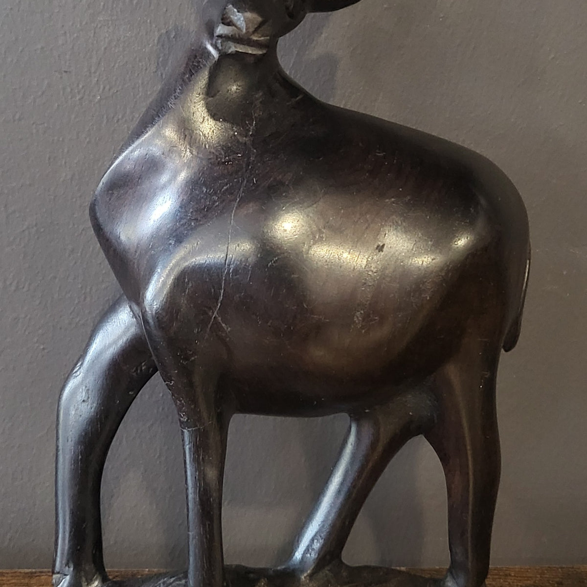 Ebony Deer Standing on a Rock – Africas Finest