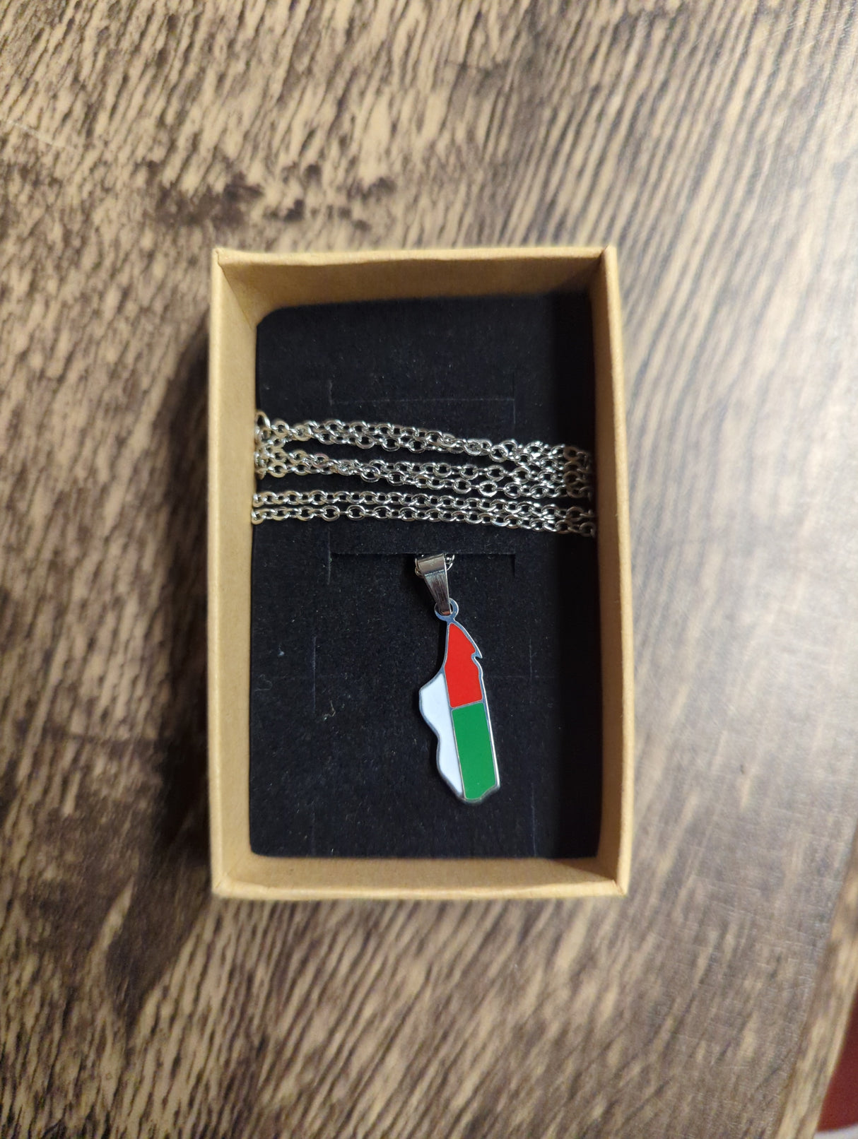 National Flag Country Shape silver Necklace 60cm Thin Chain